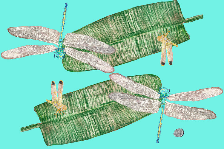 two dark green banana leaves with four dragonflies on a light turquoise background