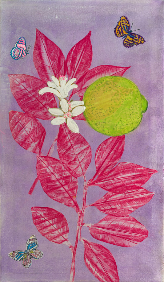 Limeade with Pink Citrus Leaves Framed Fine Art Print