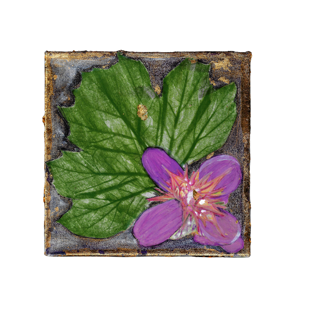 Acanthus on Aubergine