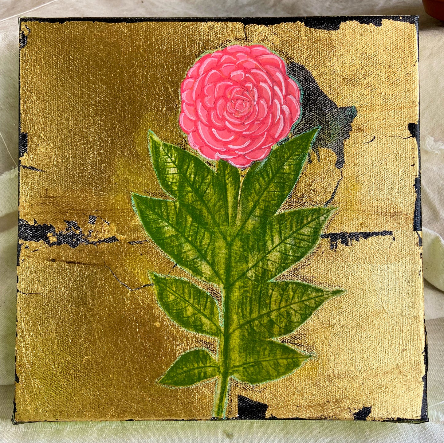 Camellia Japonica II