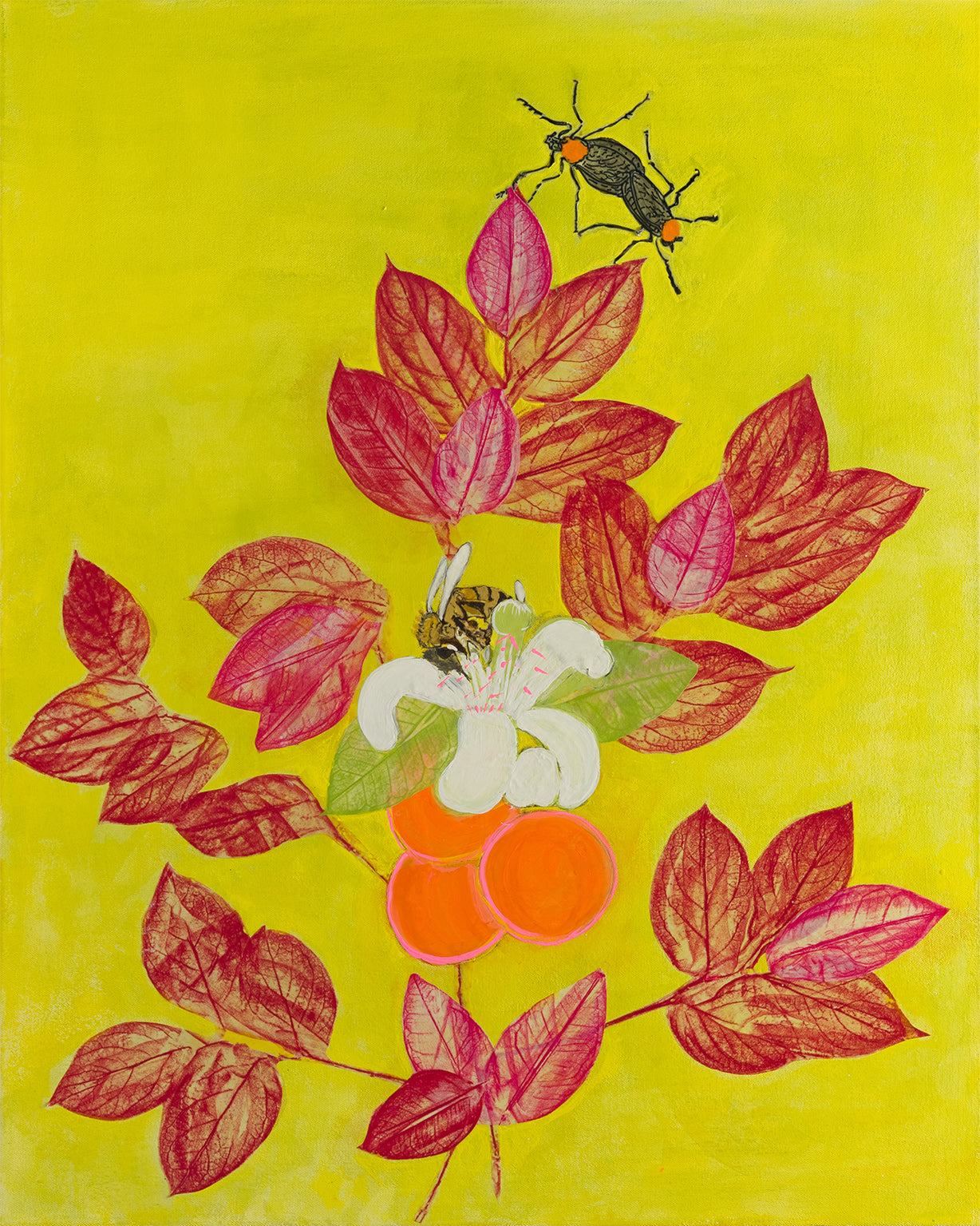Orange Citrus with Pink