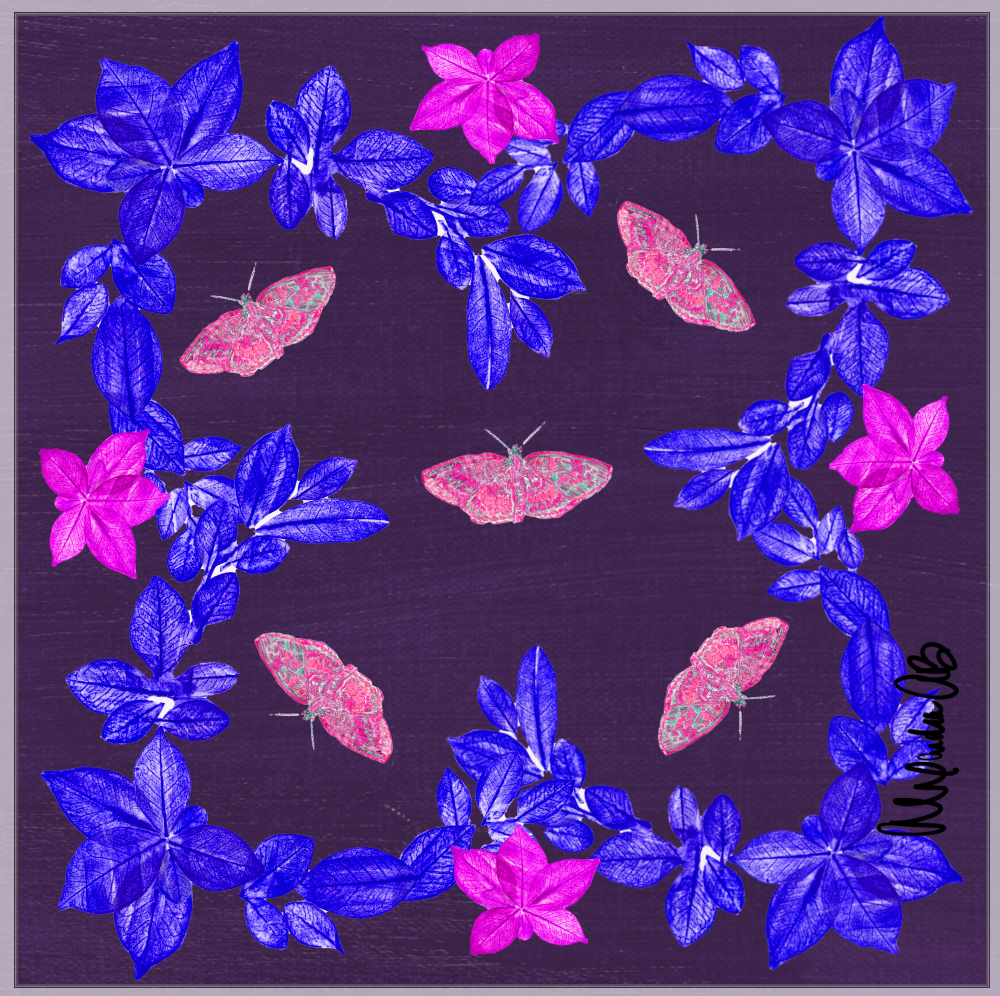 Scarves and Shawls