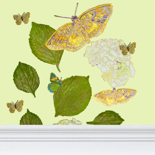 White Hydrangea on Green Tea Wallpaper Full Size